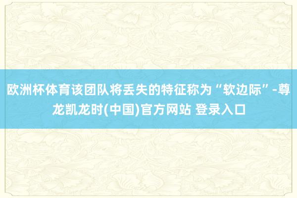 欧洲杯体育该团队将丢失的特征称为“软边际”-尊龙凯龙时(中国)官方网站 登录入口
