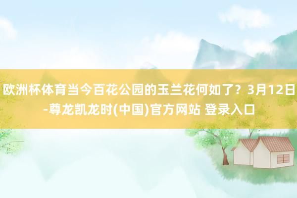 欧洲杯体育当今百花公园的玉兰花何如了？3月12日-尊龙凯龙时(中国)官方网站 登录入口