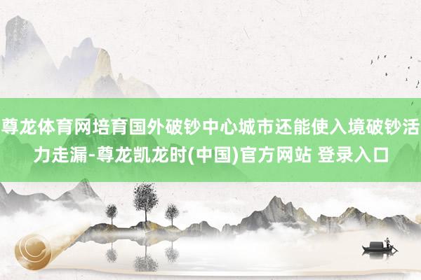尊龙体育网培育国外破钞中心城市还能使入境破钞活力走漏-尊龙凯龙时(中国)官方网站 登录入口
