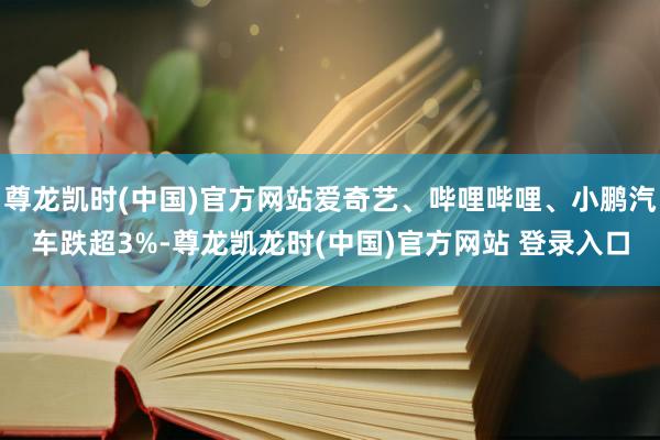 尊龙凯时(中国)官方网站爱奇艺、哔哩哔哩、小鹏汽车跌超3%-尊龙凯龙时(中国)官方网站 登录入口