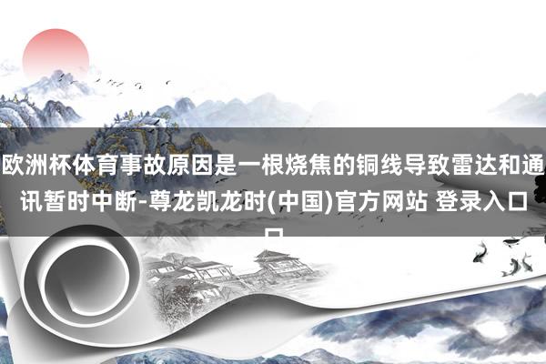 欧洲杯体育事故原因是一根烧焦的铜线导致雷达和通讯暂时中断-尊龙凯龙时(中国)官方网站 登录入口